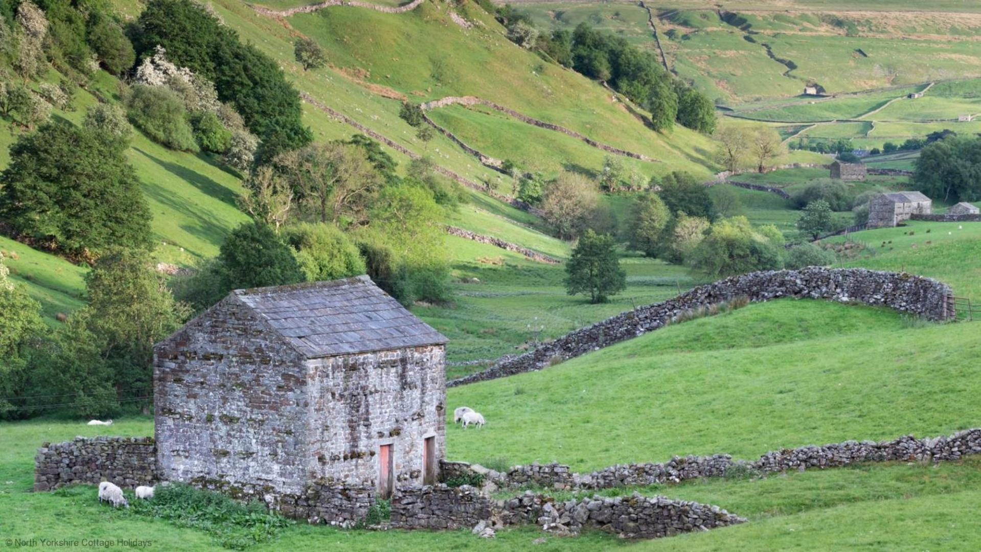 Stone Cottage In Picturesque North Yorkshire Village - Bull Dog Cottage Ampleforth Eksteriør bilde